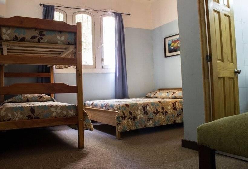 四人标准间, Hostal Forestal