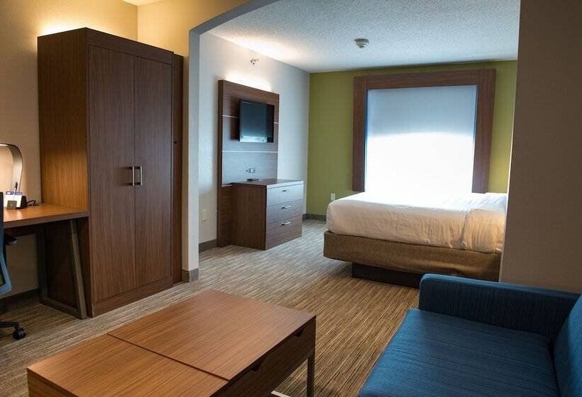 سوییت, Holiday Inn Express Hotel & Suites Elkhart South, An Ihg