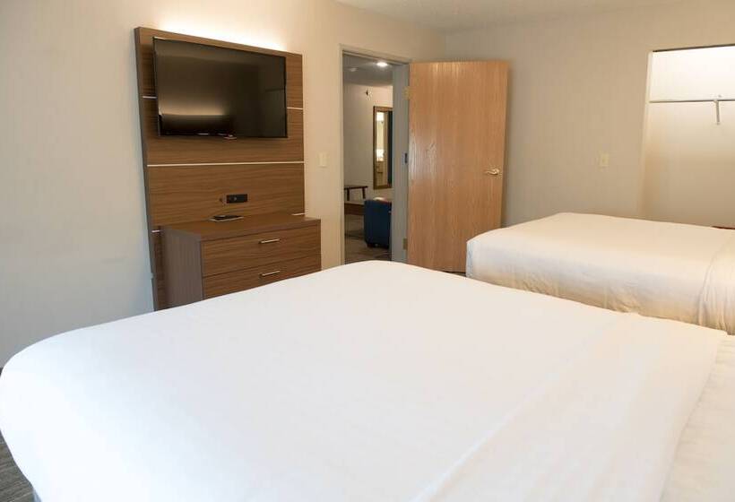 سوییت, Holiday Inn Express Hotel & Suites Elkhart South, An Ihg