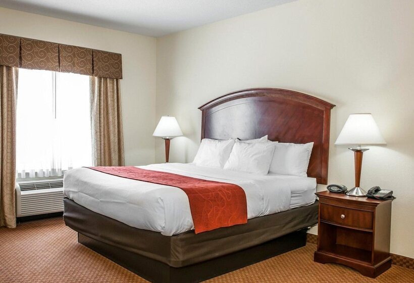 Suite, Comfort Suites Near Indianapolis Airport