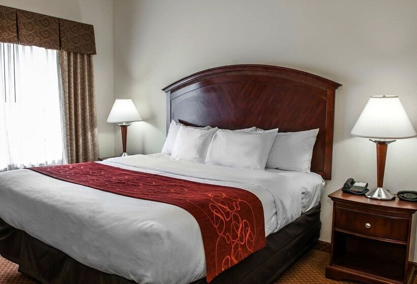 Suite, Comfort Suites Near Indianapolis Airport