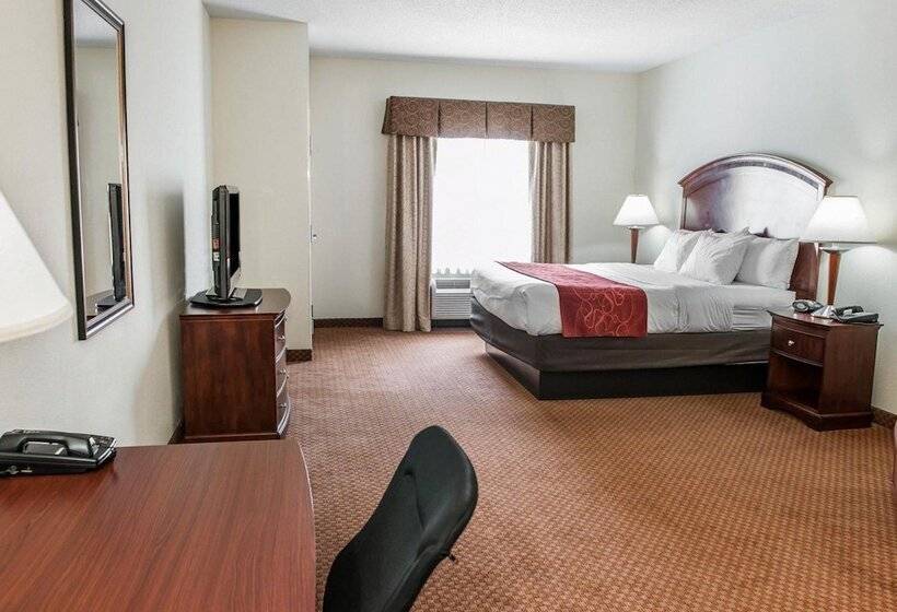 Suite, Comfort Suites Near Indianapolis Airport