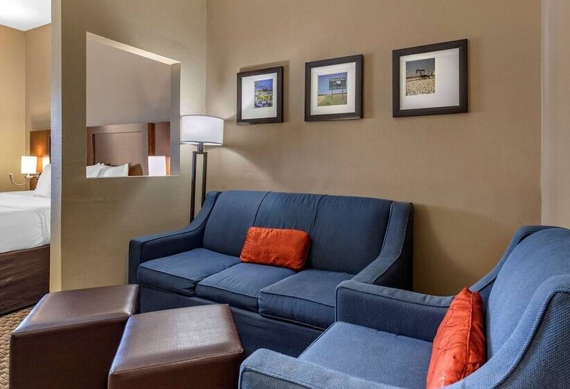 스위트, Comfort Suites Near Texas A&m   Corpus Christi