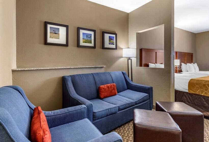 장애인을 위한 스위트, Comfort Suites Near Texas A&m   Corpus Christi