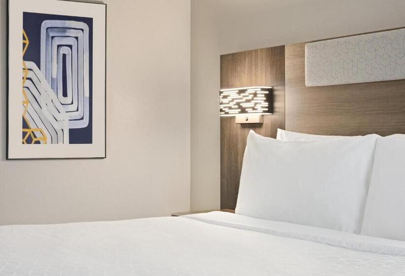 스탠다드 룸 킹사이즈 침대, Holiday Inn Express & Suites Greenville Downtown, An Ihg