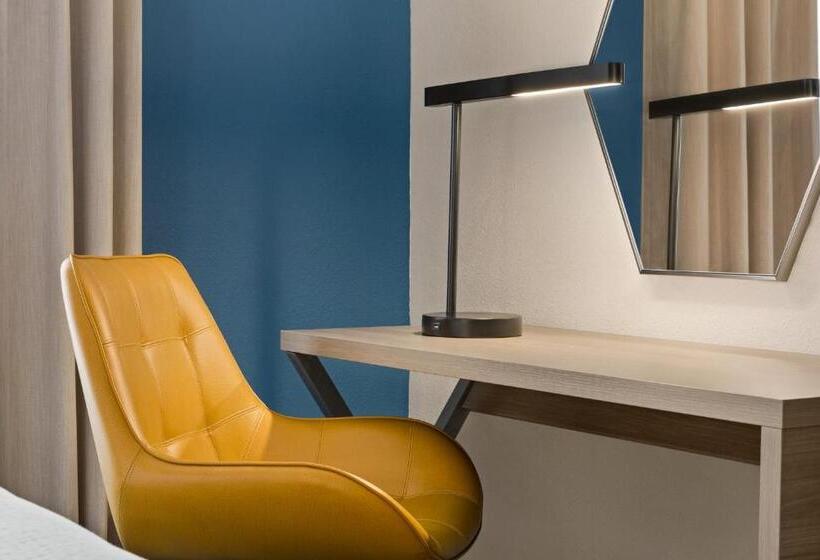 장애인을 위한 스탠다드 룸, Holiday Inn Express & Suites Greenville Downtown, An Ihg