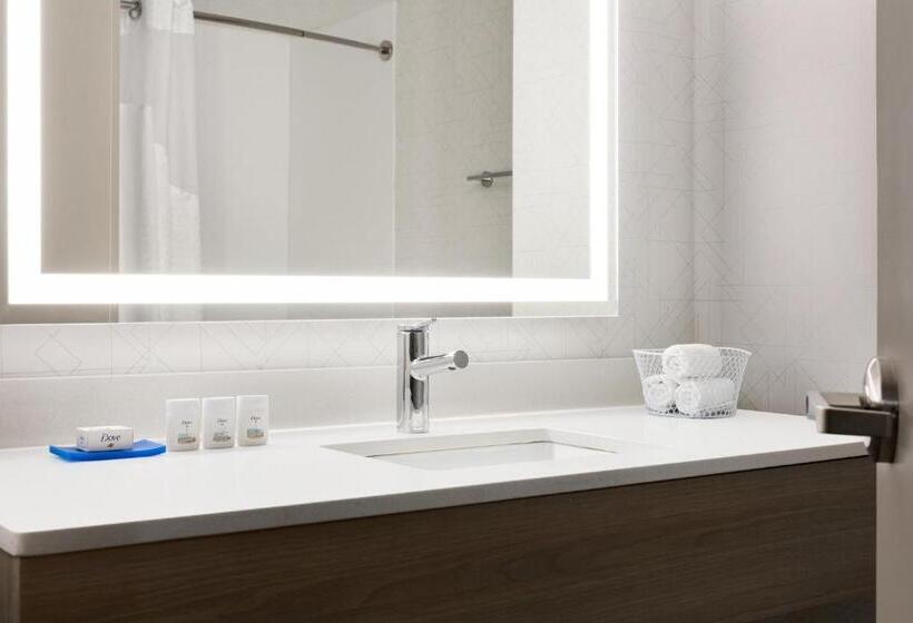 장애인을 위한 스탠다드 룸, Holiday Inn Express & Suites Greenville Downtown, An Ihg