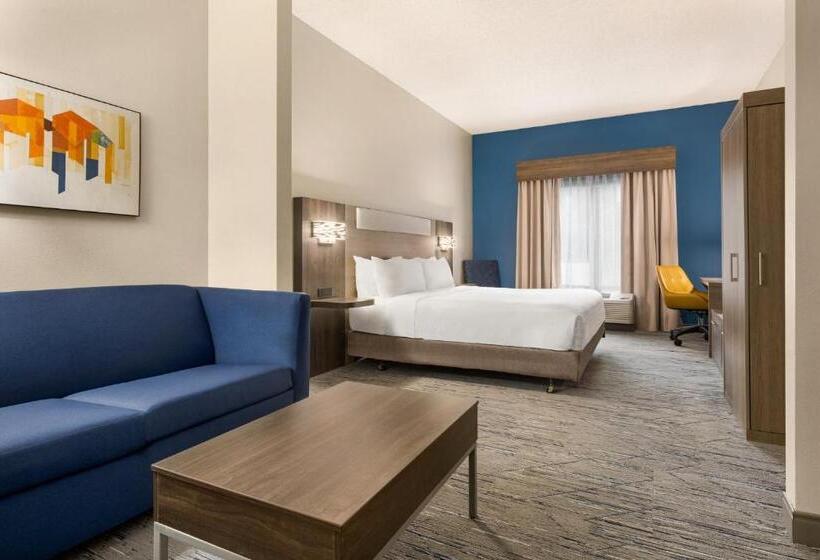 장애인을 위한 스위트, Holiday Inn Express & Suites Greenville Downtown, An Ihg