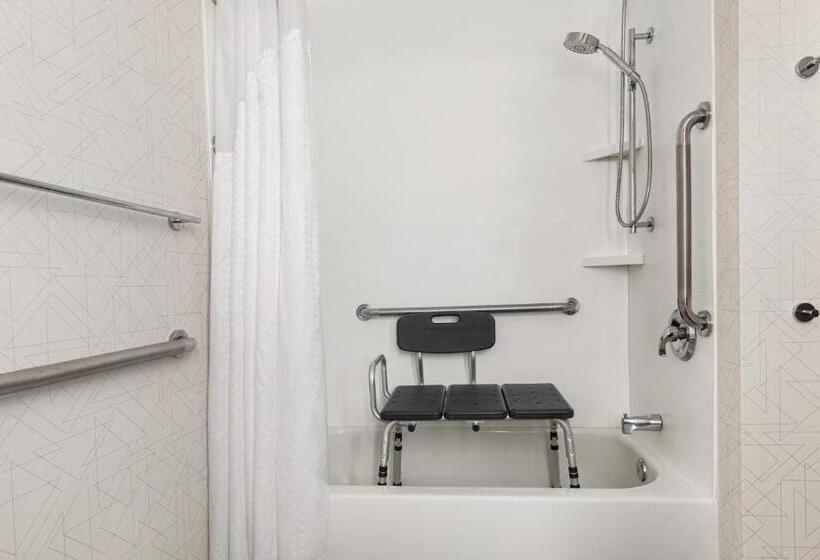 장애인을 위한 스위트, Holiday Inn Express & Suites Greenville Downtown, An Ihg