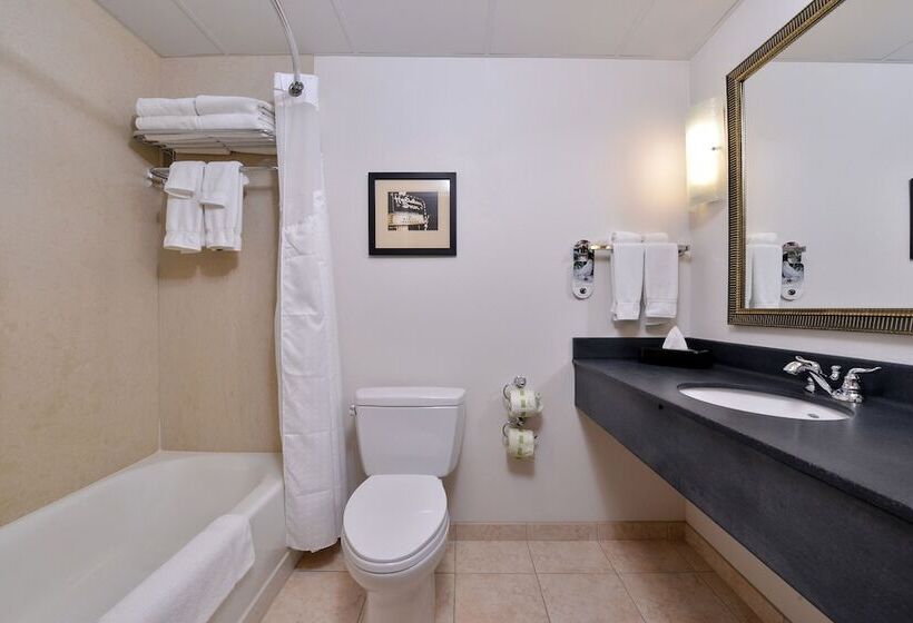 Номер Стандарт, Holiday Inn Madison At The American Center, An Ihg