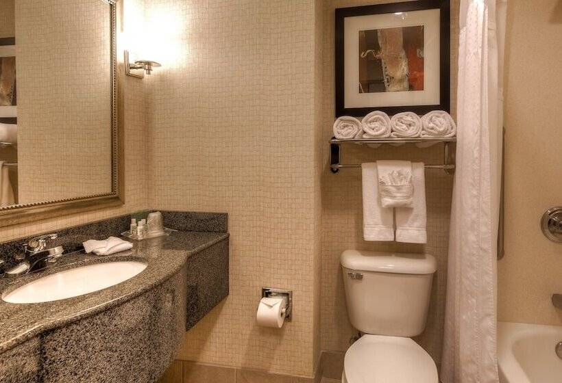 اتاق استاندارد, Holiday Inn North Quail Springs, An Ihg
