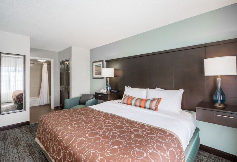 سوئیت برای معلولان, Staybridge Suites Wilmington Newark By Ihg