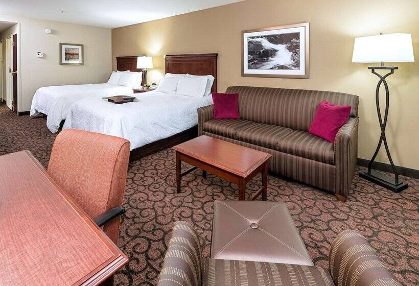 Номер Стандарт, Hampton Inn Littleton