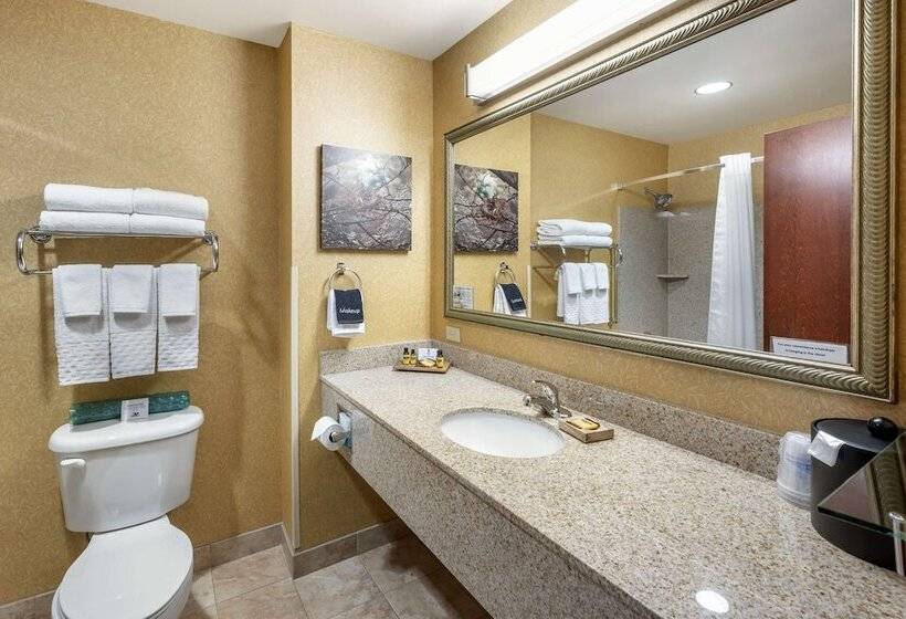 스위트, Best Western Plus Ponderay Mountain Lodge Sandpoint