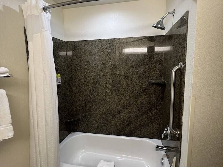 Люкс, Holiday Inn Express & Suites   Omaha I   80, An Ihg