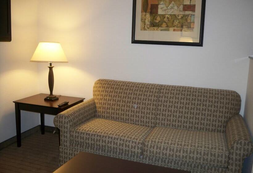Люкс, Holiday Inn Express & Suites   Omaha I   80, An Ihg