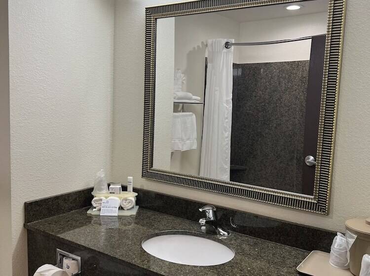 Номер Стандарт, Holiday Inn Express & Suites   Omaha I   80, An Ihg