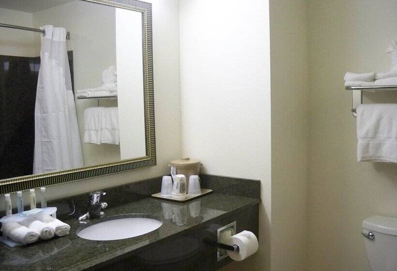Люкс Адаптированный для Инвалидов, Holiday Inn Express & Suites   Omaha I   80, An Ihg