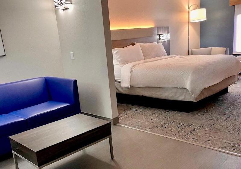 Люкс Кровать Кинг, Holiday Inn Express & Suites   Tuscaloosa University, An Ihg