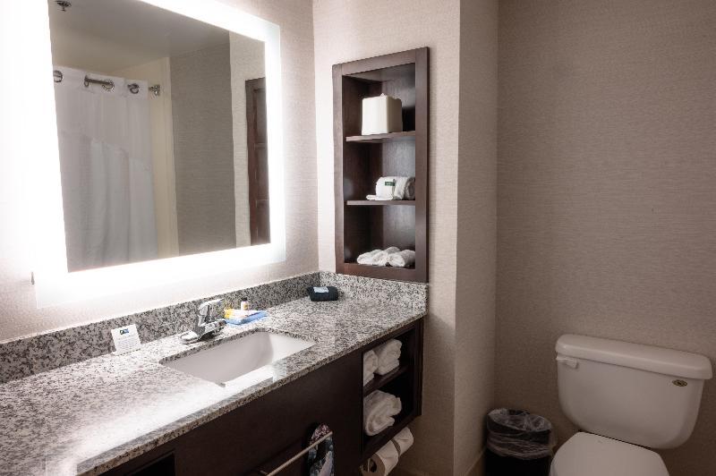 Стандартный Номер Кровать Кинг, Holiday Inn Express & Suites   Tuscaloosa University, An Ihg