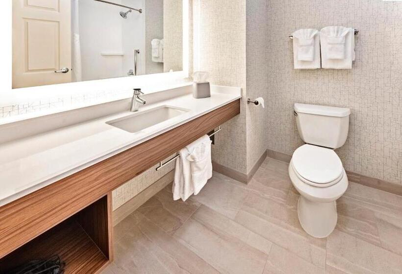스탠다드 룸, Holiday Inn Express Hotel & Suites Lake Zurich Barrington, An Ihg