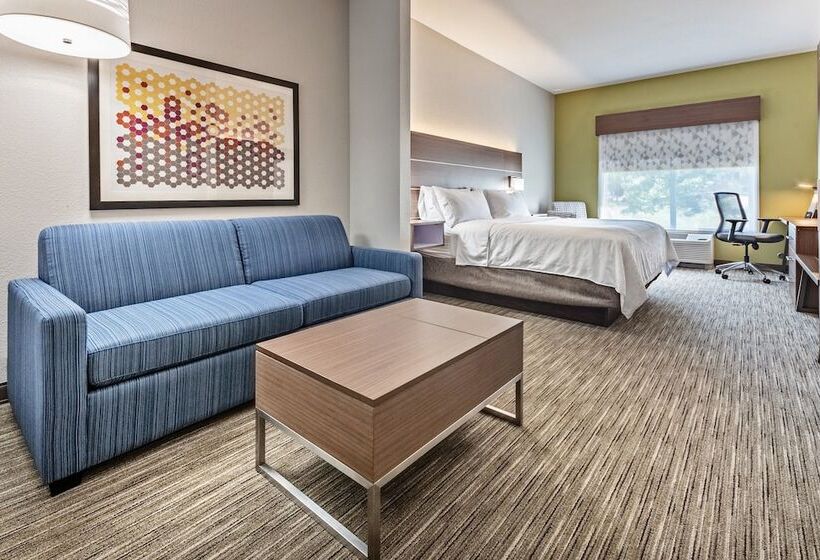 스위트, Holiday Inn Express Hotel & Suites Lake Zurich Barrington, An Ihg