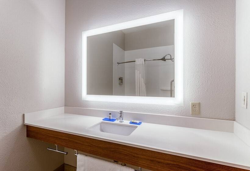 اتاق استاندارد, Holiday Inn Express & Suites O Fallon Shiloh, An Ihg