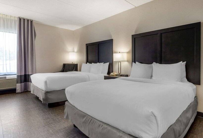 Номер Стандарт 2 Двуспальные Кровати, Comfort Inn & Suites Greer  Greenville