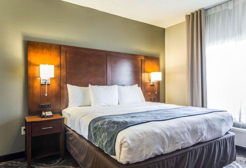Люкс Адаптированный для Инвалидов, Comfort Suites Pineville  Ballantyne Area