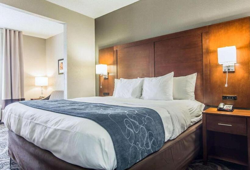 Люкс Кровать Кинг, Comfort Suites Pineville  Ballantyne Area