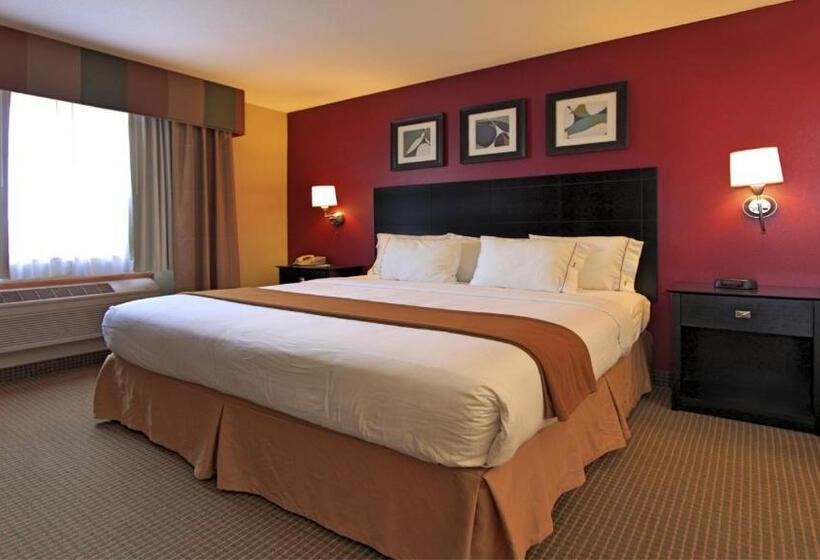 Номер Стандарт Кровать Кинг Адаптированный для Инвалидов, Holiday Inn Express Hotel & Suites Defiance, An Ihg
