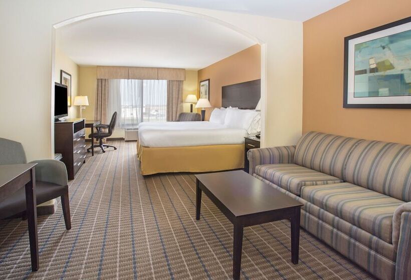 장애인을 위한 스위트, Holiday Inn Express Hotel & Suites Pauls Valley By Ihg