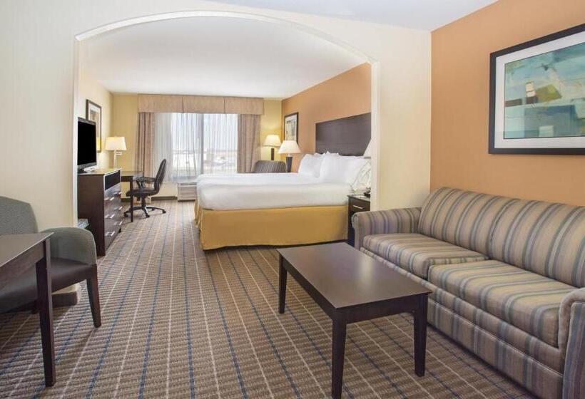 장애인을 위한 스위트, Holiday Inn Express Hotel & Suites Pauls Valley By Ihg