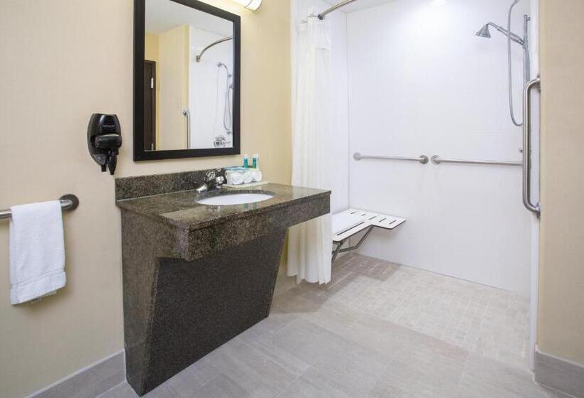 장애인을 위한 스위트, Holiday Inn Express Hotel & Suites Pauls Valley By Ihg