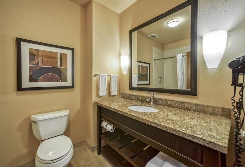 חדר סטנדרט, Holiday Inn Express Suites Beeville By Ihg