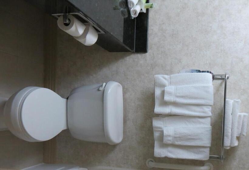 חדר סטנדרט, Holiday Inn Express Suites Beeville By Ihg
