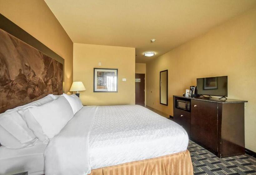 장애인을 위한 킹사이즈 침대 스탠다드 룸, Holiday Inn Express Suites Beeville By Ihg