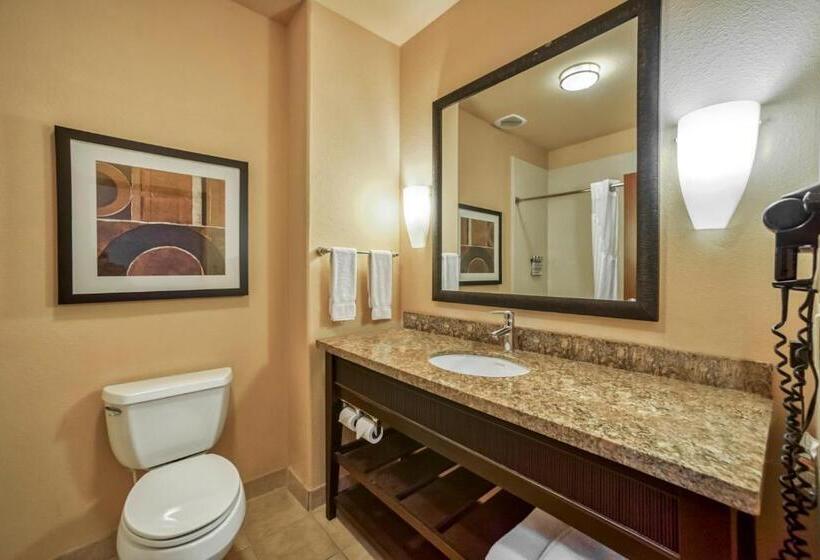 חדר סטנדרט עם מיטת קינג, Holiday Inn Express Suites Beeville By Ihg