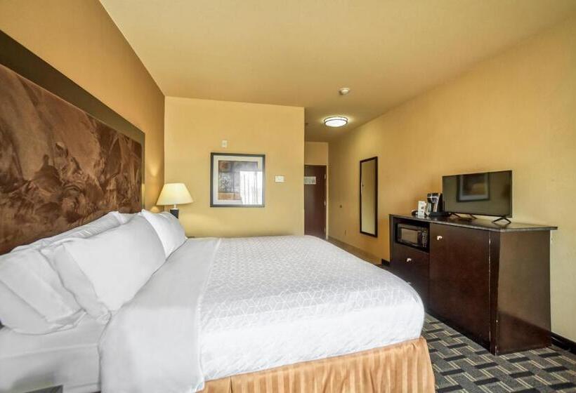 스탠다드 룸 킹사이즈 침대, Holiday Inn Express Suites Beeville By Ihg