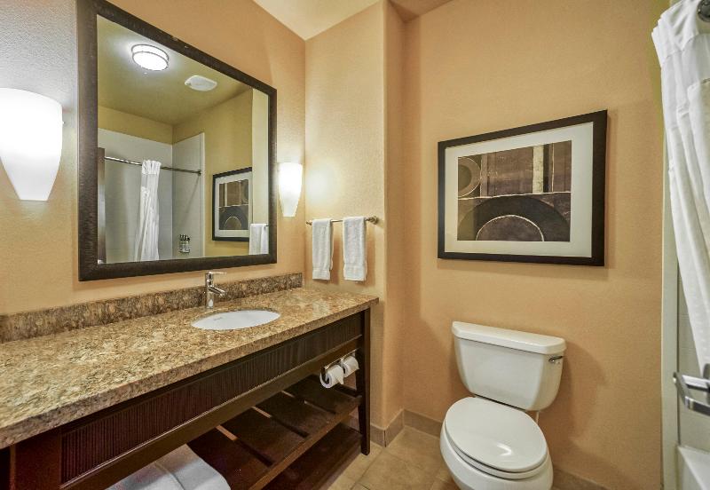 장애인을 위한 킹사이즈 침대 스탠다드 룸, Holiday Inn Express Suites Beeville By Ihg