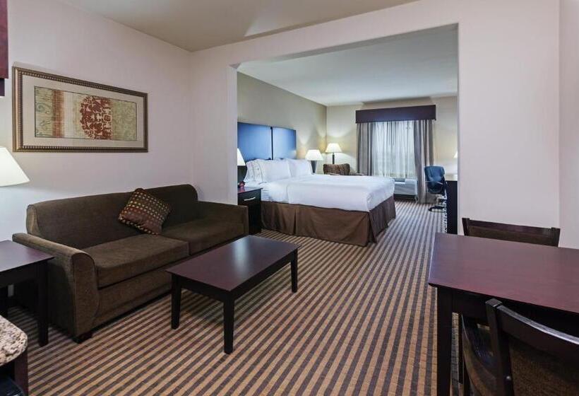 Люкс Кровать Кинг, Holiday Inn Express & Suites Brady, An Ihg
