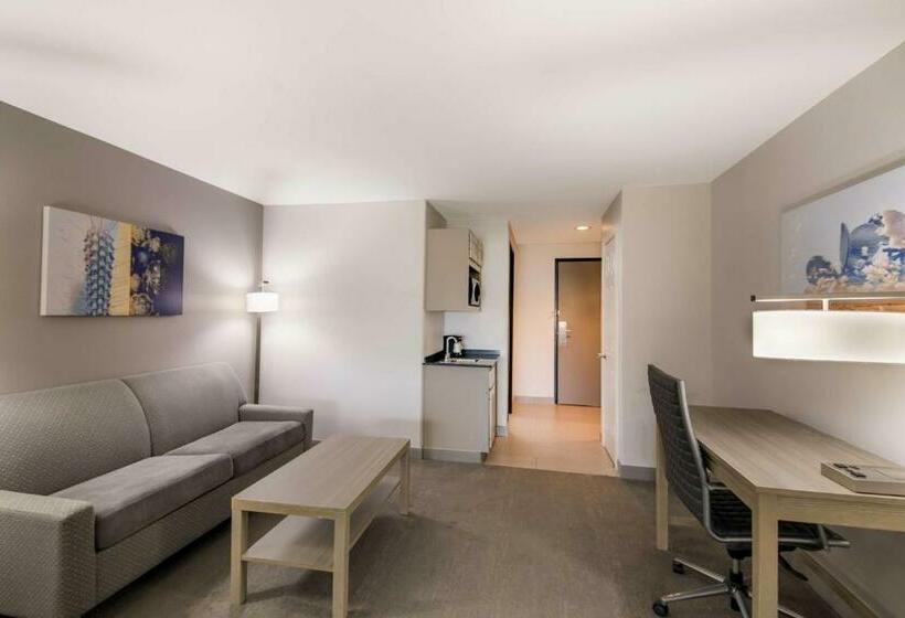 带2个双人床的标准工作室, Best Western Plus Killeen/fort Cavazos Hotel & Suites