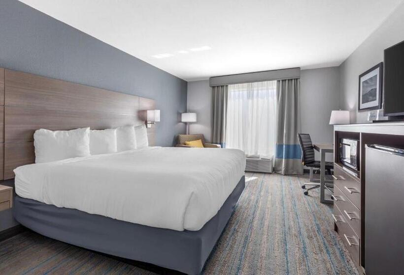 Стандартный Номер Кровать Кинг, Best Western Plus Stephenville Inn