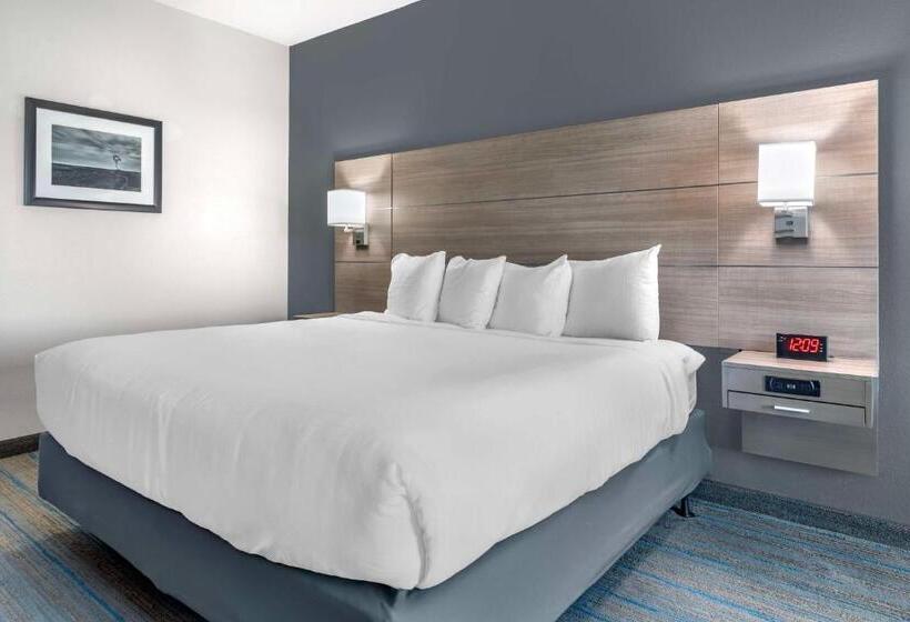 Номер Стандарт Кровать Кинг Адаптированный для Инвалидов, Best Western Plus Stephenville Inn
