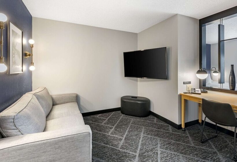 Люкс, Cambria Hotel Minneapolis Maple Grove