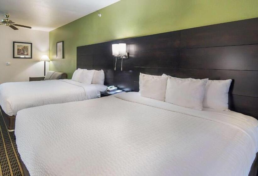 스위트, Clarion Inn & Suites Weatherford South
