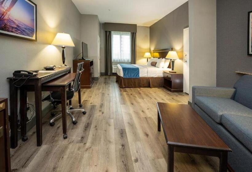 Люкс Адаптированный для Инвалидов, Comfort Suites Seabrook - Kemah