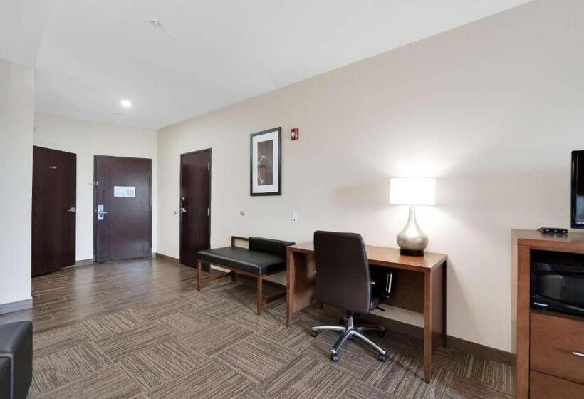 سوئیت برای معلولان, Comfort Suites University