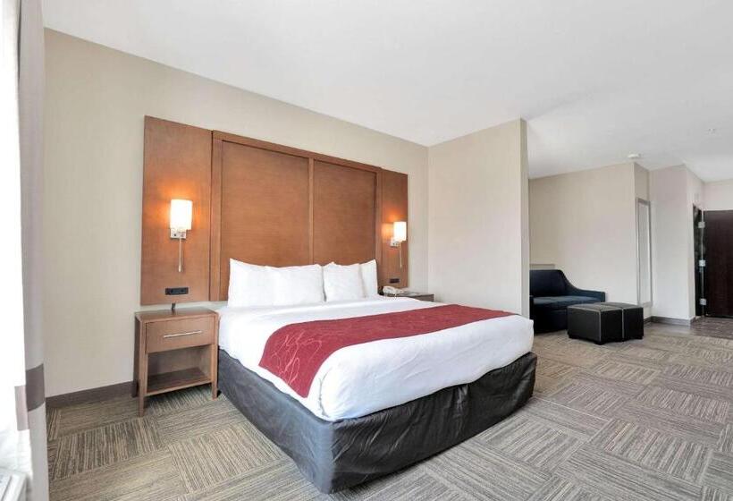 سوئیت برای معلولان, Comfort Suites University