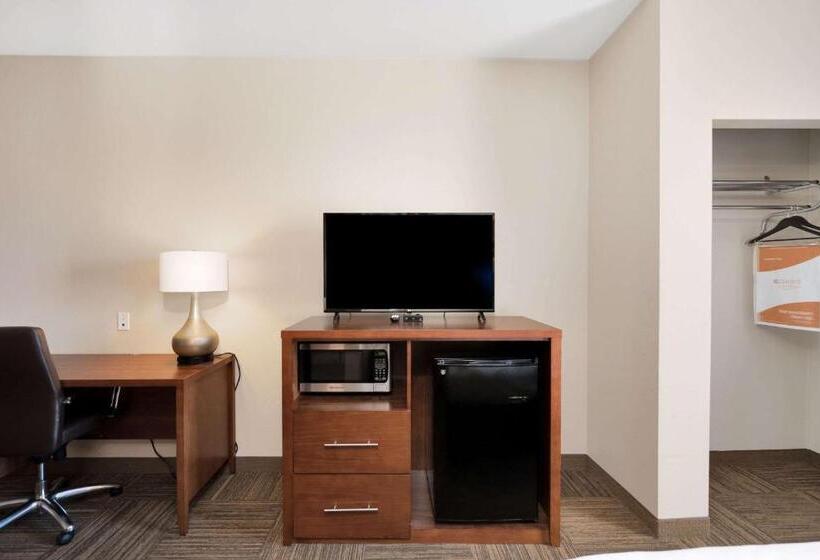 سوئیت با تخت بزرگ, Comfort Suites University